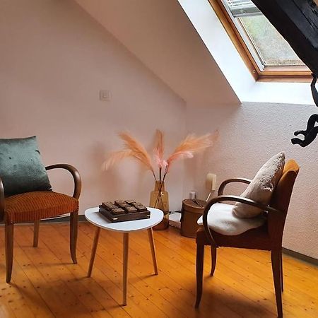 Апартаменти Loft Gaia Brunstatt-Didenheim Екстер'єр фото