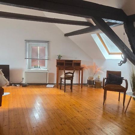 Апартаменти Loft Gaia Brunstatt-Didenheim Екстер'єр фото